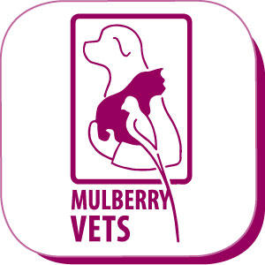 Mulberryweblogos Mobile Good