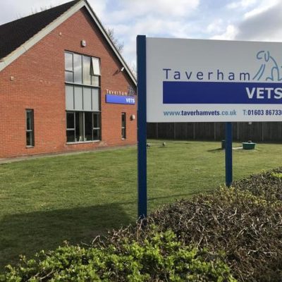 Pentland Property Services Veterinary Construction Bristol External